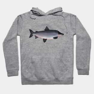 Humpback Whitefish Hoodie